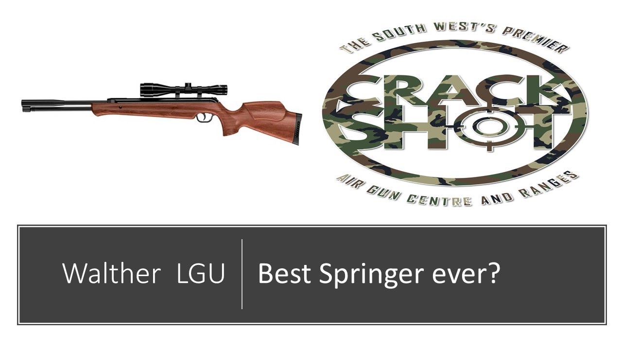 Walther LGU .22 Review and Demo - Best Springer Contender?