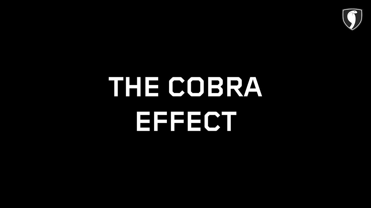 The Cobra Effect