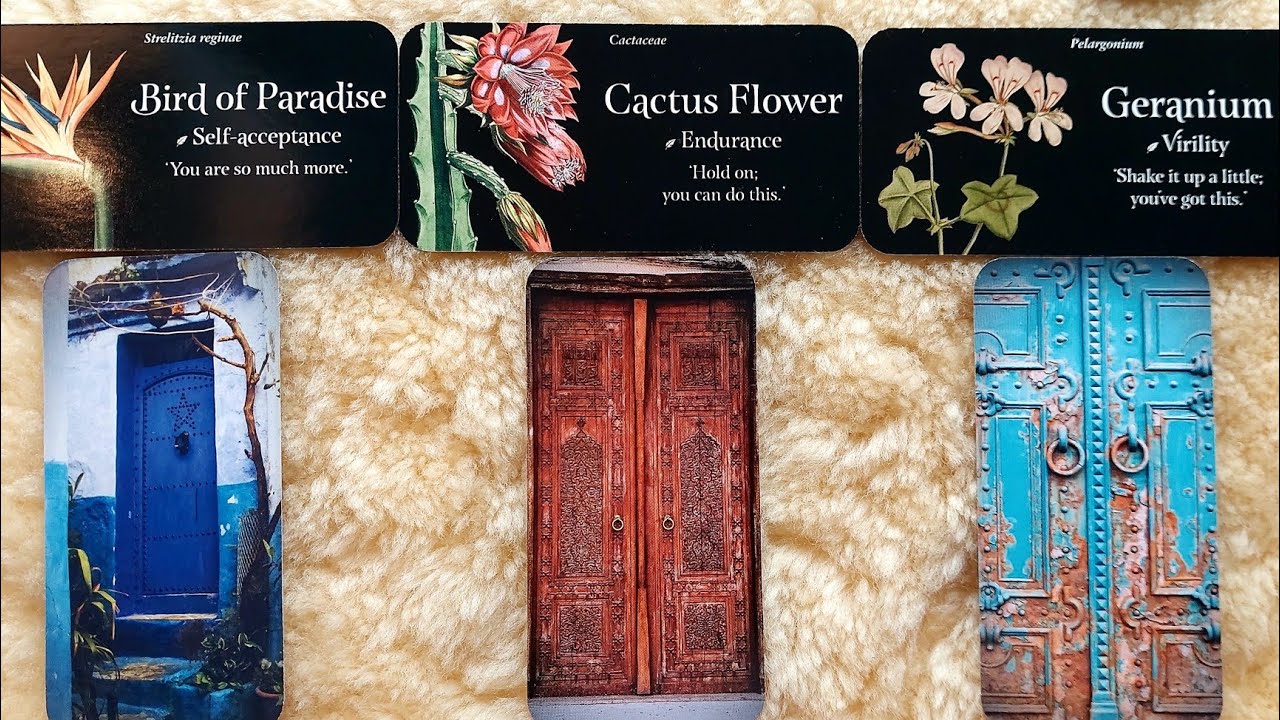 🌹💍YOUR WEDDING DAY‼️💎❤️🌈🌺😍🥰⭐️🎉🎁🎯🧿🔮SUPER-DETAILED PICK A CARD TAROT &ORACLE READING😉🍭🎀🎊TIMELESS✨️🔥🍀💐