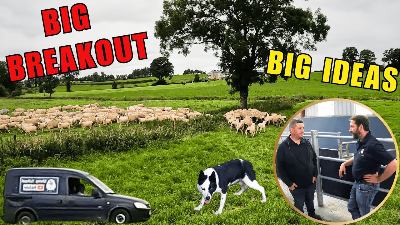 Big Breakout, Big Event & Big Ideas!