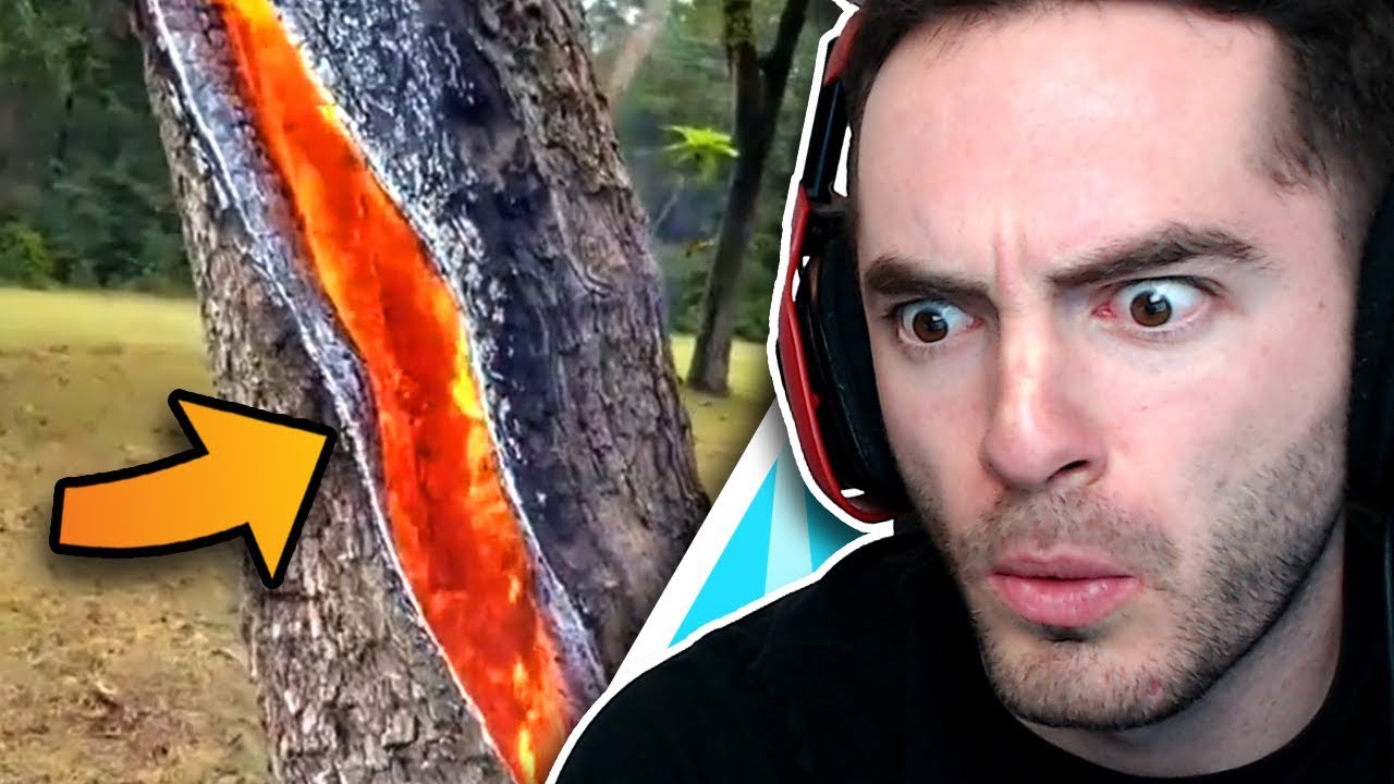 When Lightning Meets Tree (Oddly Satisfying #11)