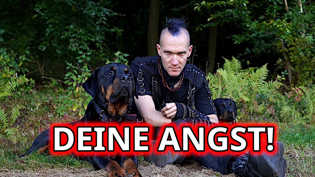 Deshalb knallt Dein Hund in die Leine!