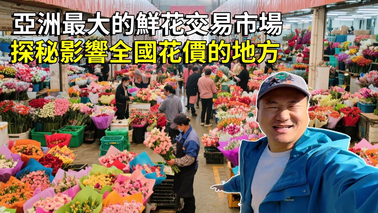 亞洲最大鮮花交易市場！探秘昆明鬥南花卉市場鮮花拍賣中心，鮮花價格便宜到離譜【大海去旅行】