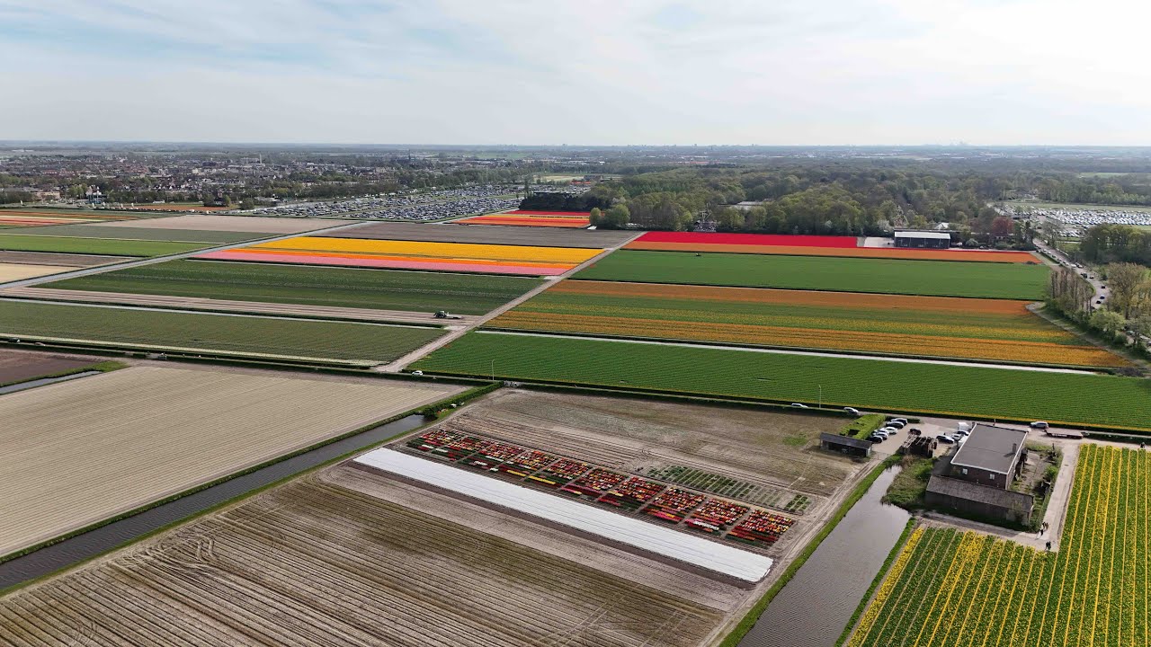 Netherlands from Above #drone video
