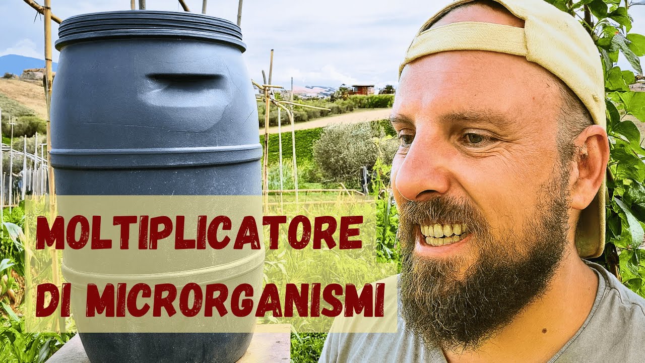 Autocostruire un moltiplicatore di microrganismi per l'orto. Un fertilizzante potente e veloce.