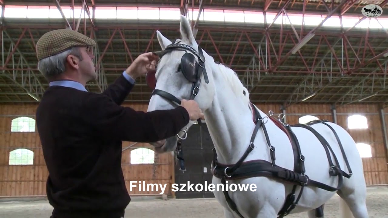 ABC powożenia