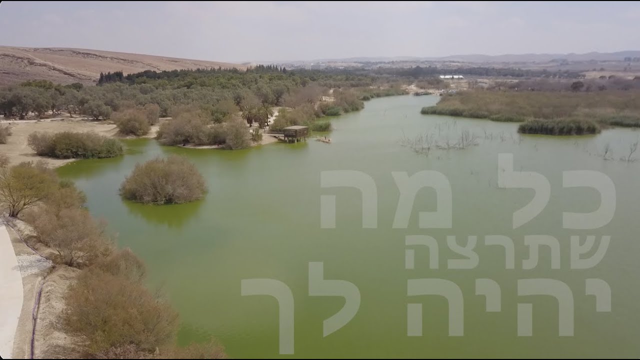 בר המצווה של אראל אביטן נ״י