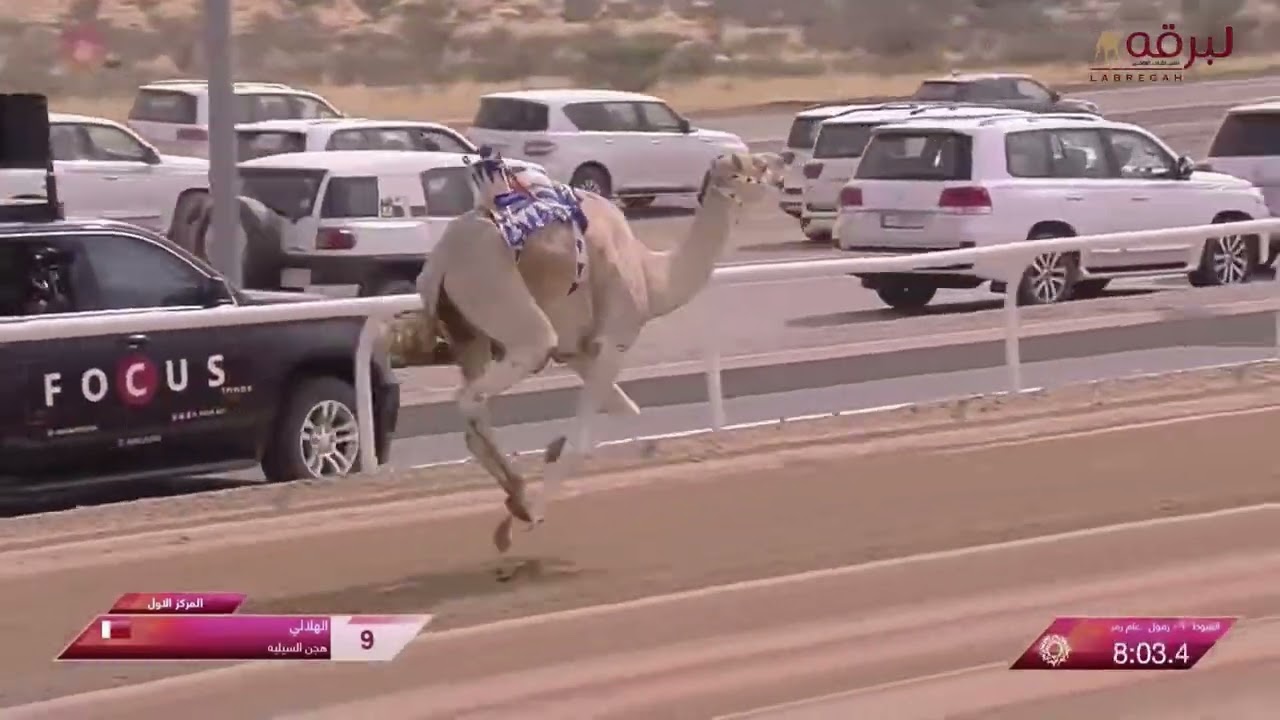 ش1 مبلش لـ عاطف عطية حسن القرشي (ختامي مهرجان ولي عهد السعودية 7-9-2023م) بندقية الزمول عام 9:25:66