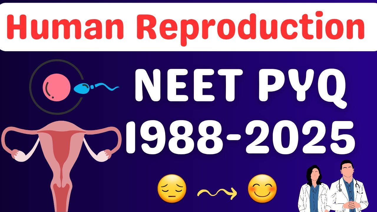Human reproduction class 12 one shot neet pyq