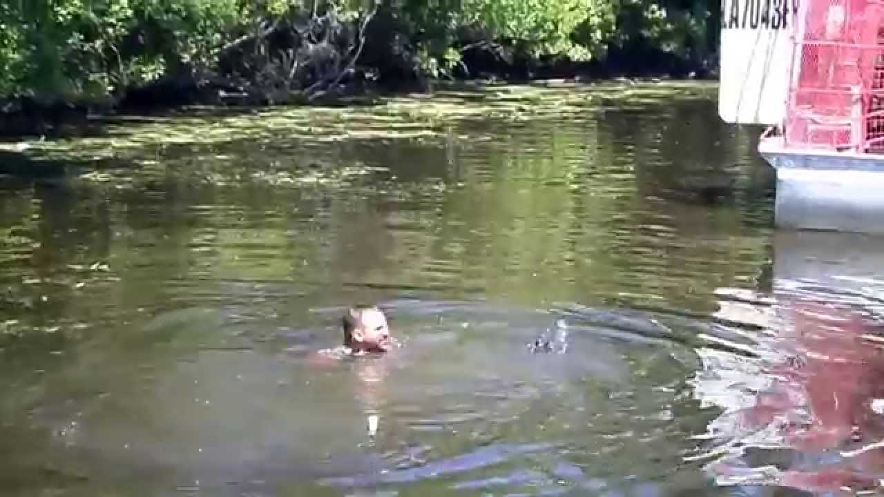 Airboat guide feeding alligator from his mouth!