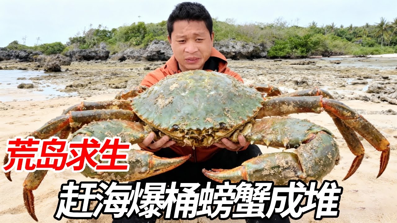 海岛荒野求生！小伙深夜赶海爆桶，螃蟹堆成山还捡到巨型大鱼，今晚终于开荤了！