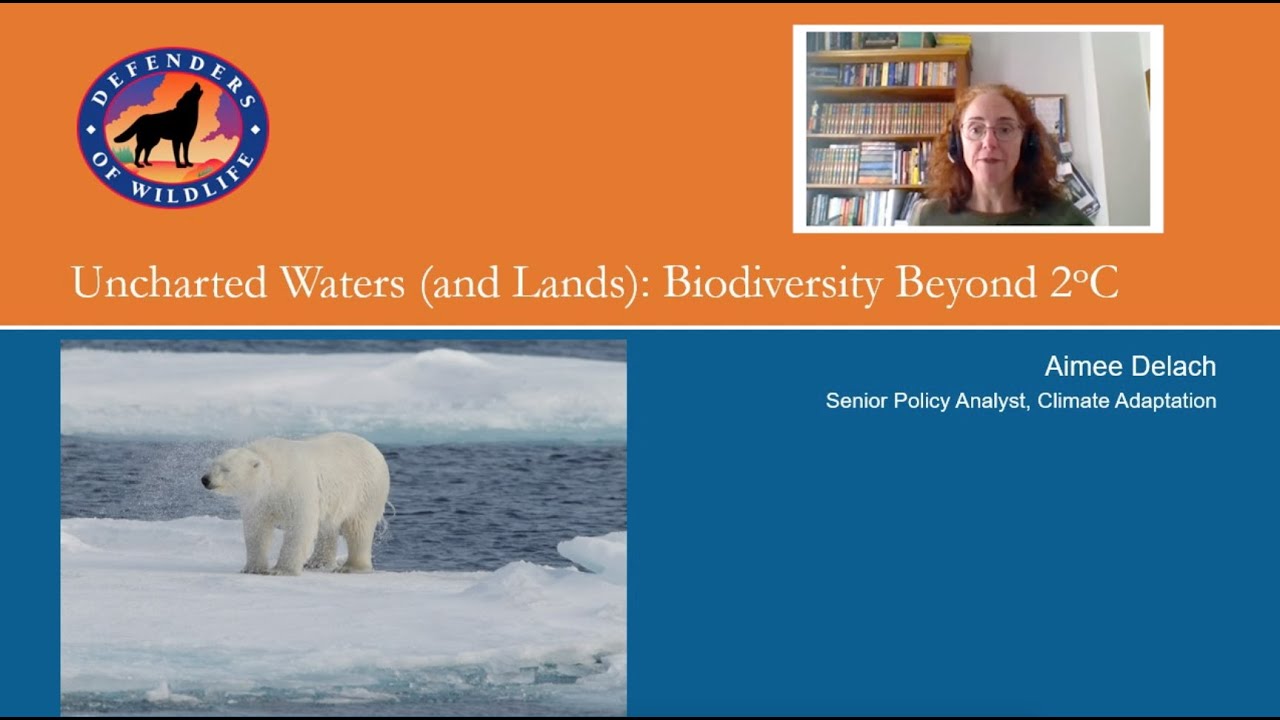 Webinar - Uncharted Lands (and Waters): Biodiversity Beyond 2° C