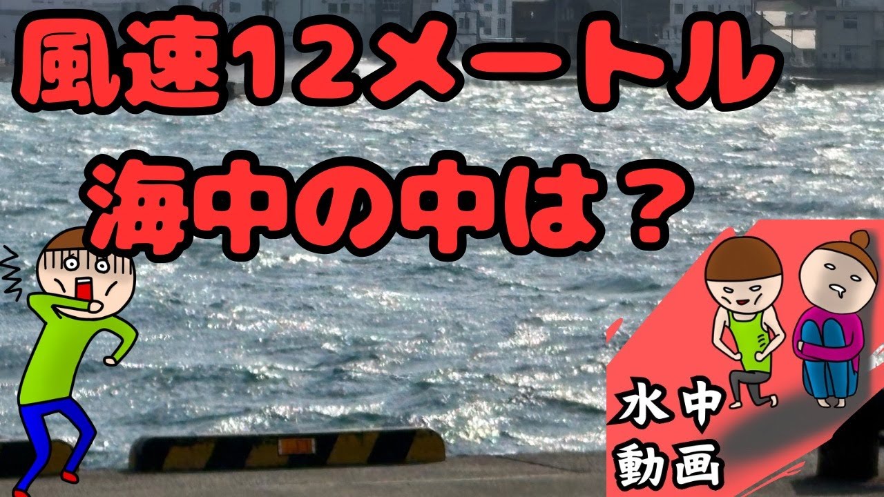 三崎港超低温冷蔵庫前　爆風の中海底調査