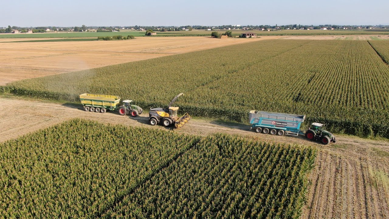 TRINCIATO XXL 2024 Avventura Epica insieme al Team Giallo Verde e Due Trince in Azione!