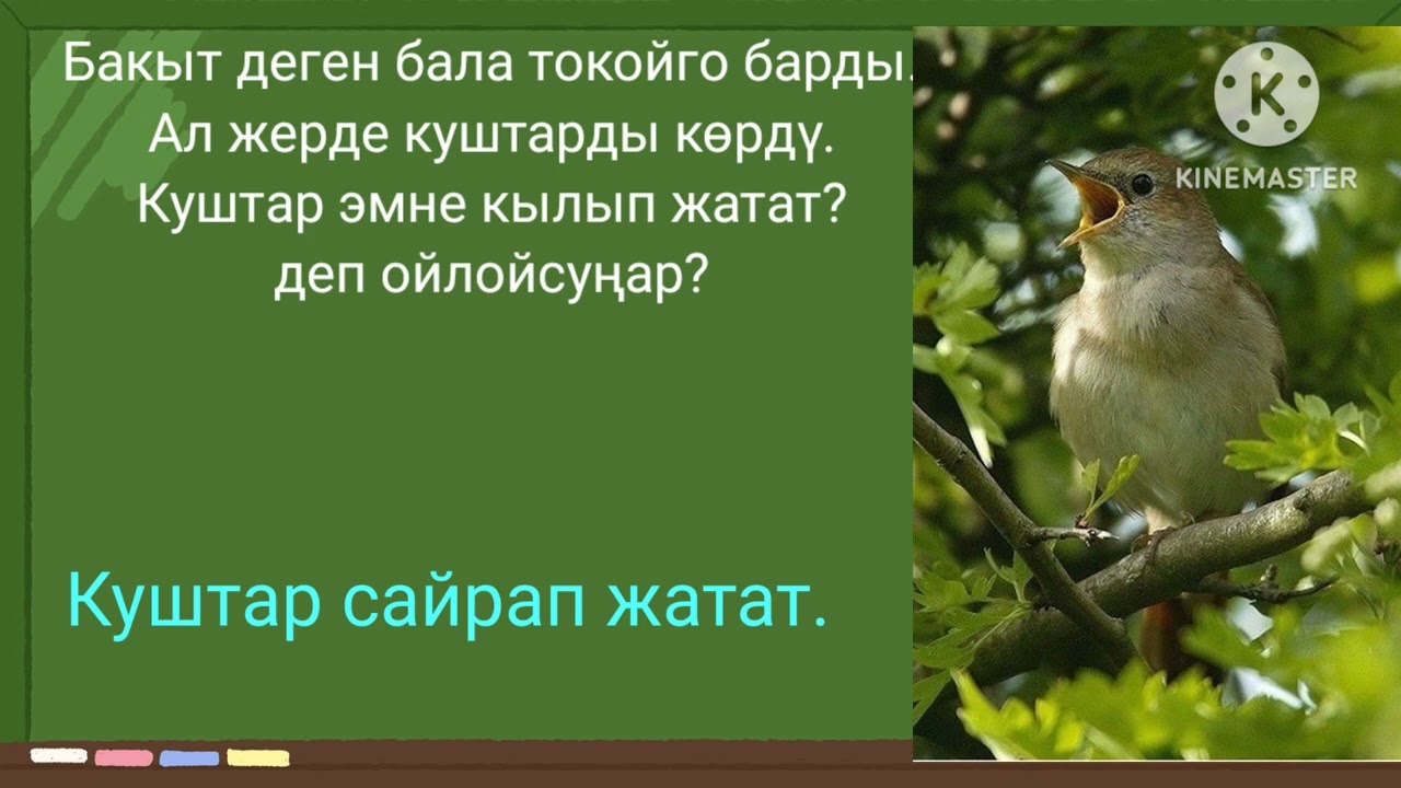 Жай сүйлөм  Кыргыз тили 2- класс
