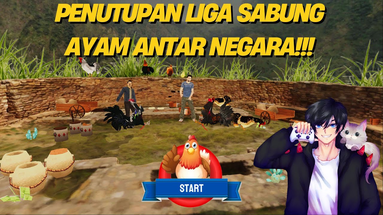Review Semua Ayam Petarung Dari Berbagai Negara!!! - ROOSTER FIGHT