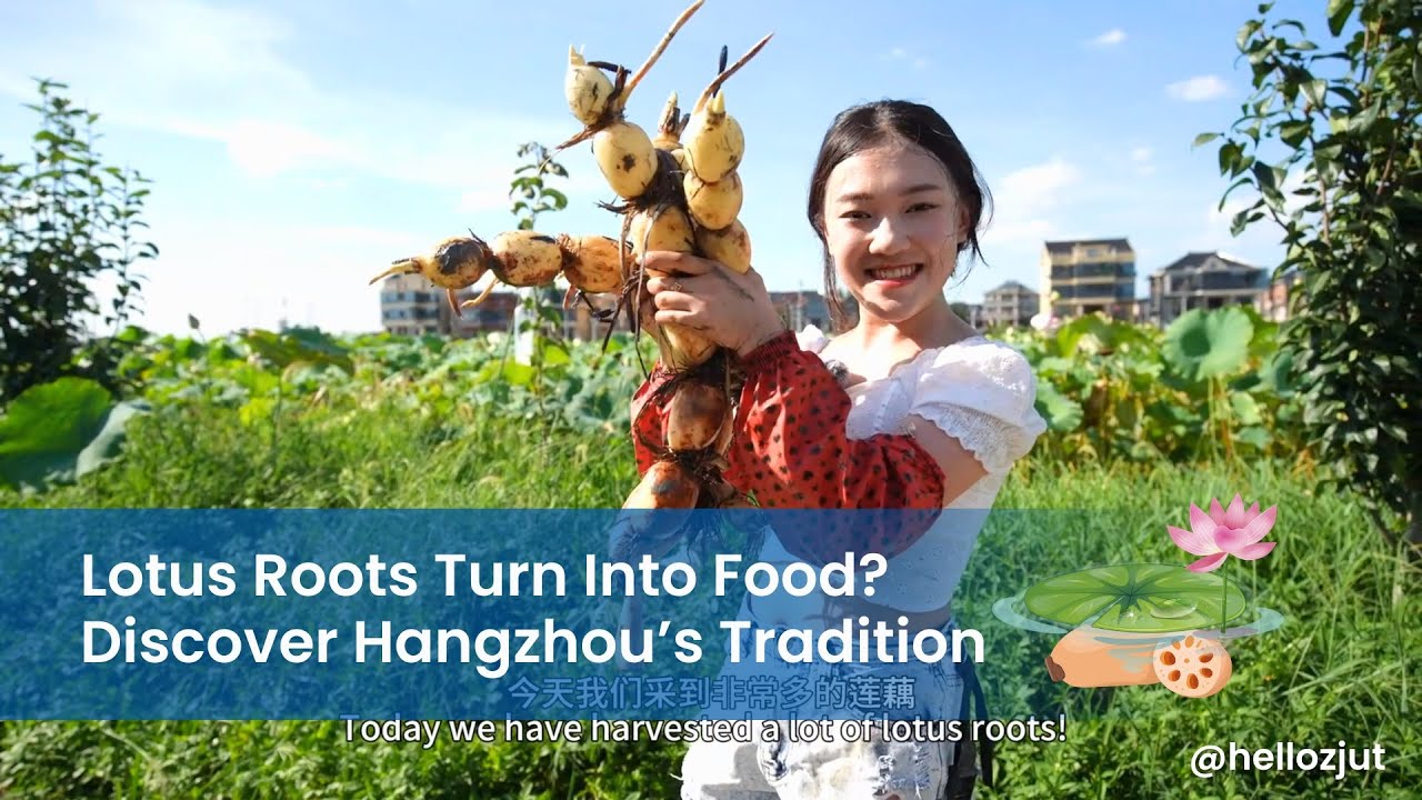 ZJUT International Student Experience Handmade Lotus Root
