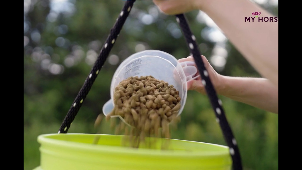 Horse Feeding Mistakes to Avoid