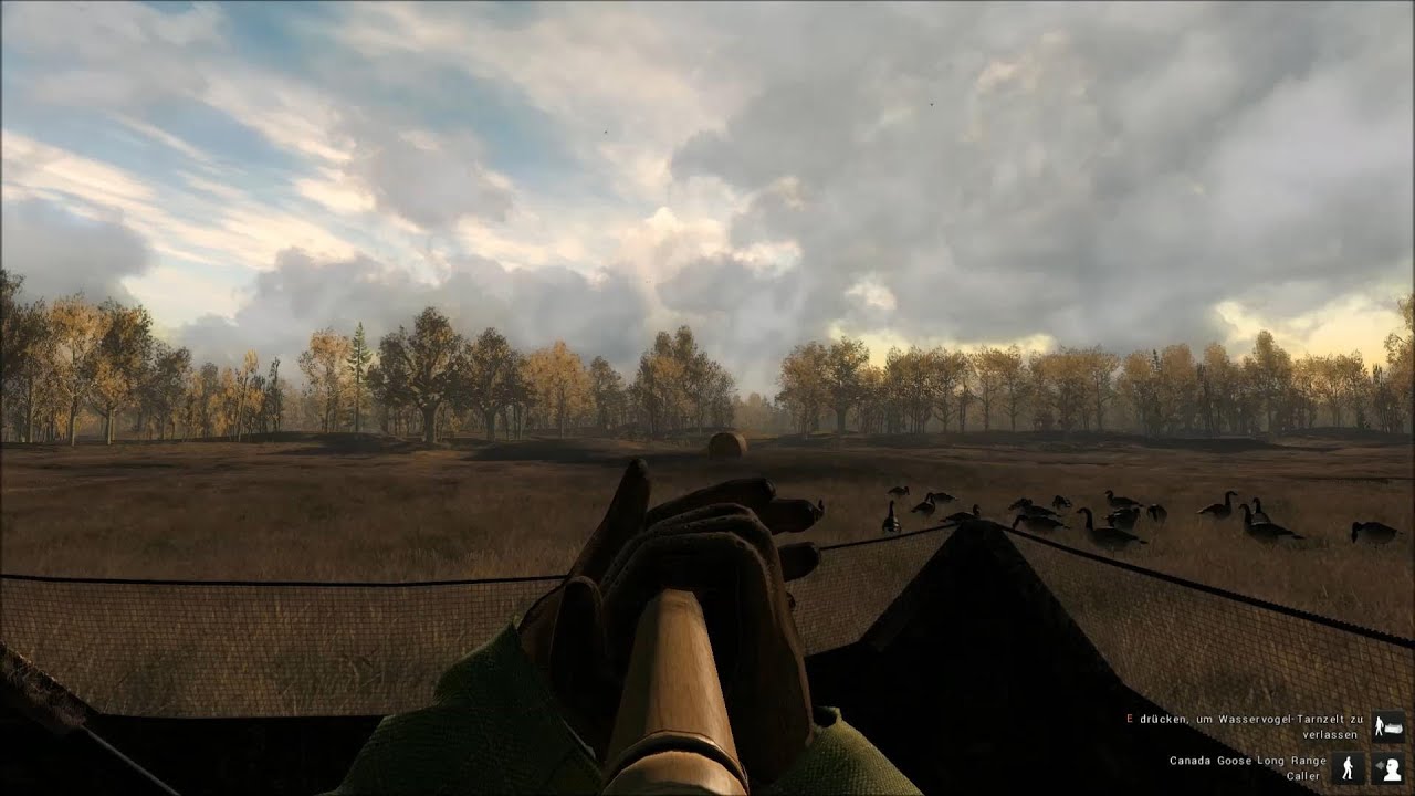 Let's Play The Hunter #1 [GER/Deutsch] - Goose Hunting