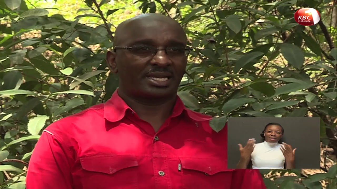 Mkulima Episode 83 : Miti ya dawa (Botany)