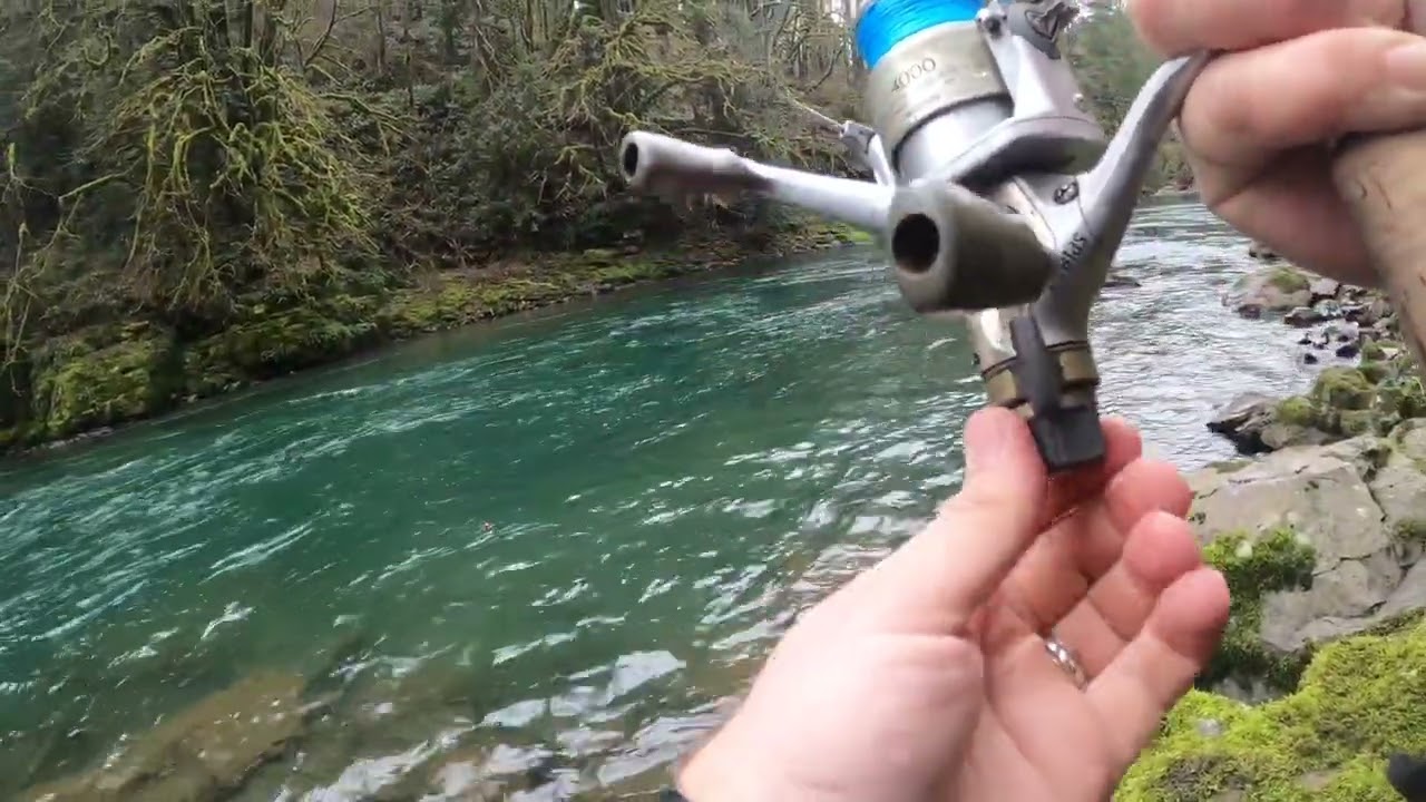 Steelhead Caught 02.20.26   HD 1080p