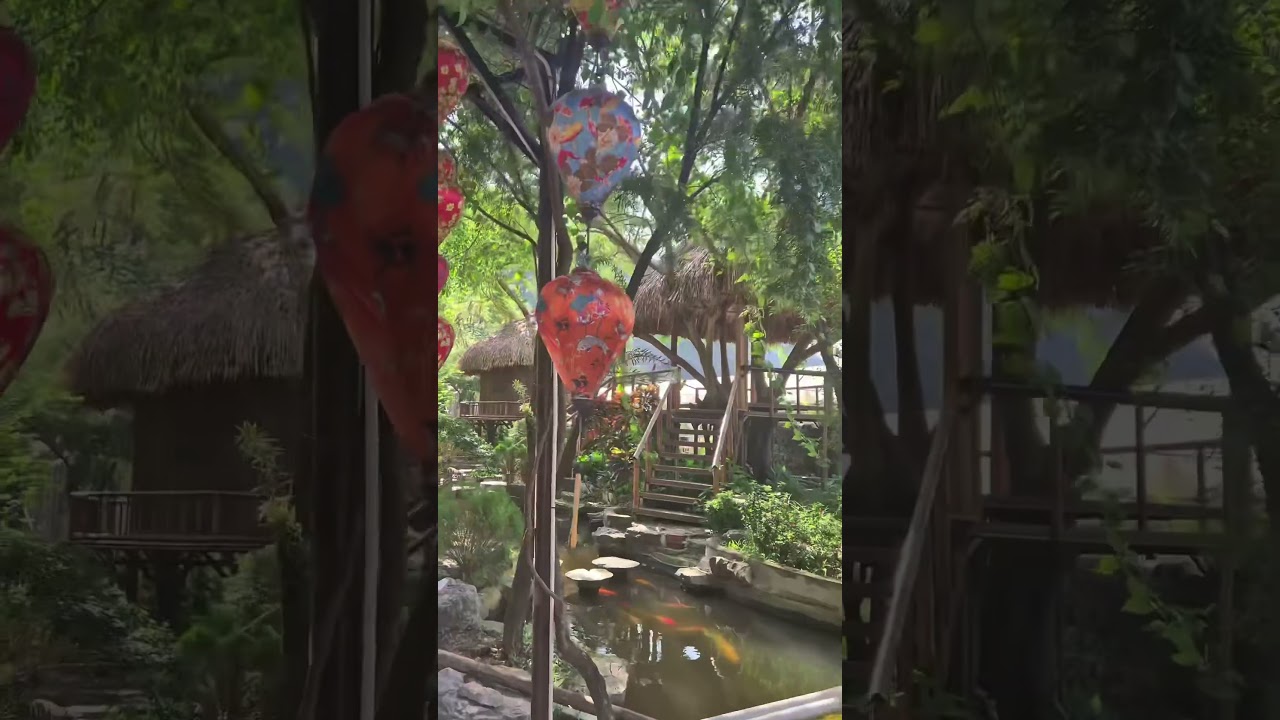 Vietnam mua caves in  ninh binh 