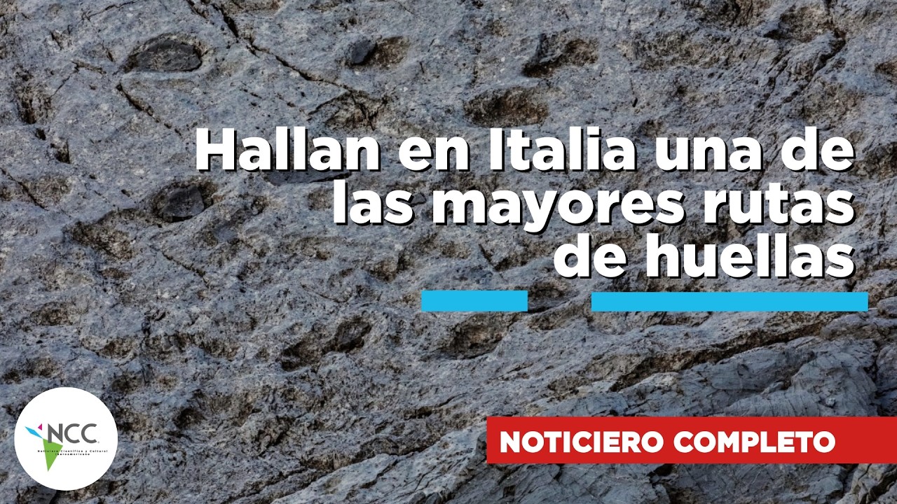 Hallan en Italia una de las mayores rutas de huellas | 843 | 02 al 08 de marzo de 2026
