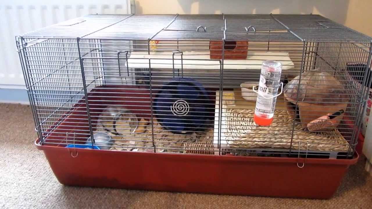 Hamster Cage Tour | Peanuts Alaska Cage