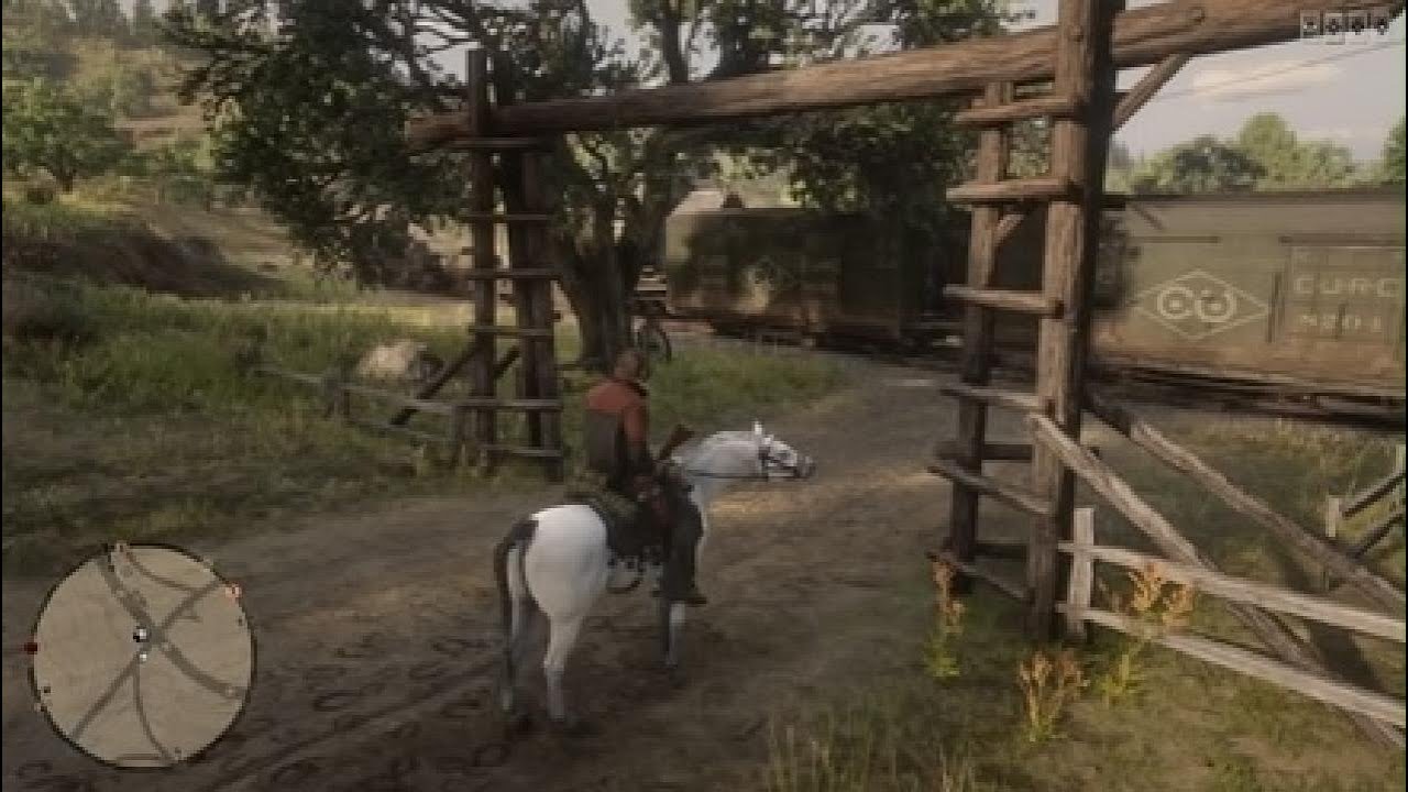 Red Dead Redemption 2_Outlaw