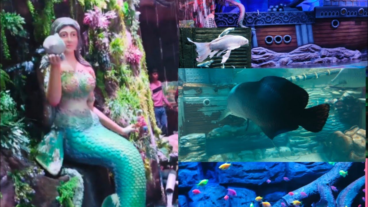 Bangalore Paradise 🐠🐟🐠🐟 aquarium#waterpark#travel 