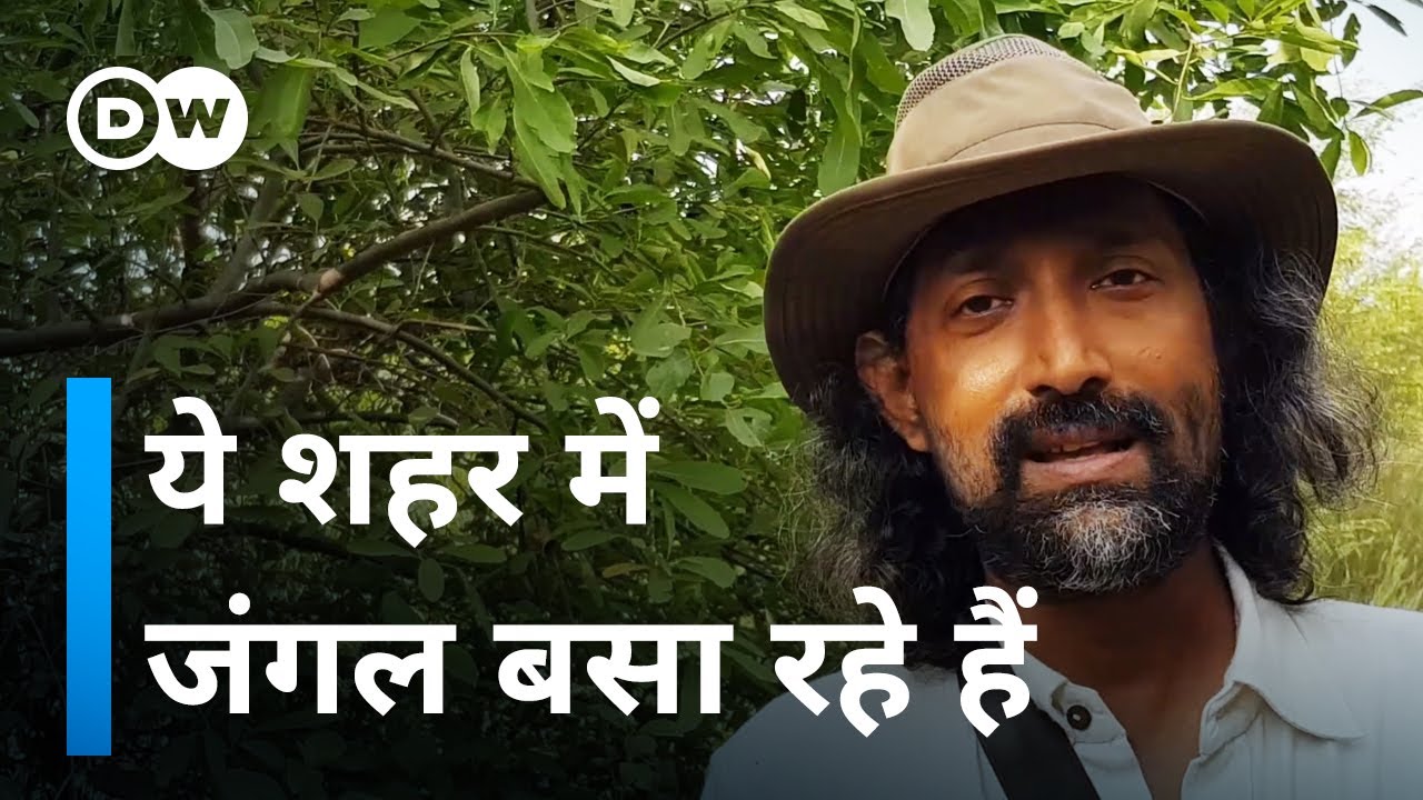 बड़े शहरों में जंगल? बिल्कुल, खुद देखिए [Forest restoration in Delhi and NCR]