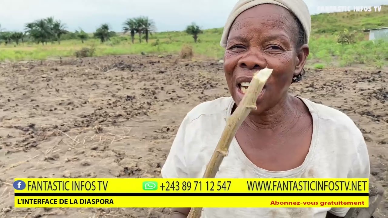 FERME BOMOKO ELAKISI NDENGE NINI YA KO LONA MANIOC