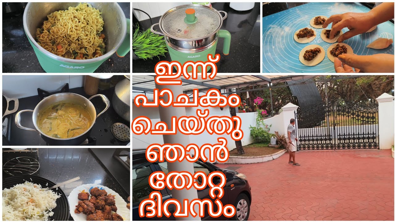 എത്ര തരം വിഭവങ്ങളാണ് ഇന്ന് ഞാൻ ഉണ്ടാക്കിയത്🧆🍜🥘🥣🥮🥧