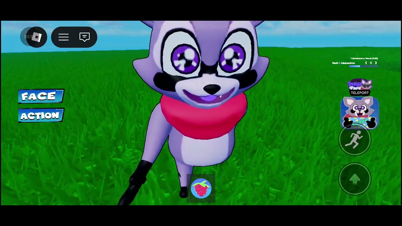 RABLEY MEETS RABLEY THE RACOONS
