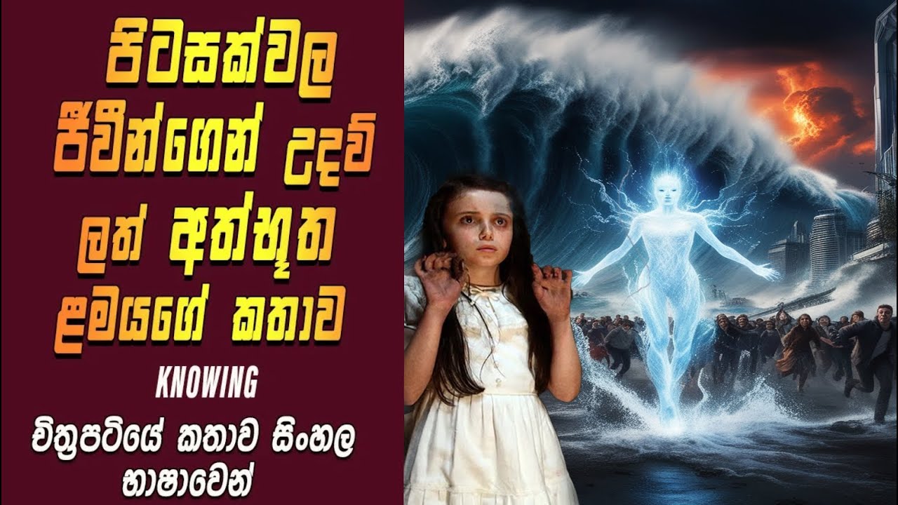 ලෝකය බේරන්න ආපු අමුතු පිටසක්වලයින් 👽 | Knowing Explained in Sinhala | SL Reviewer