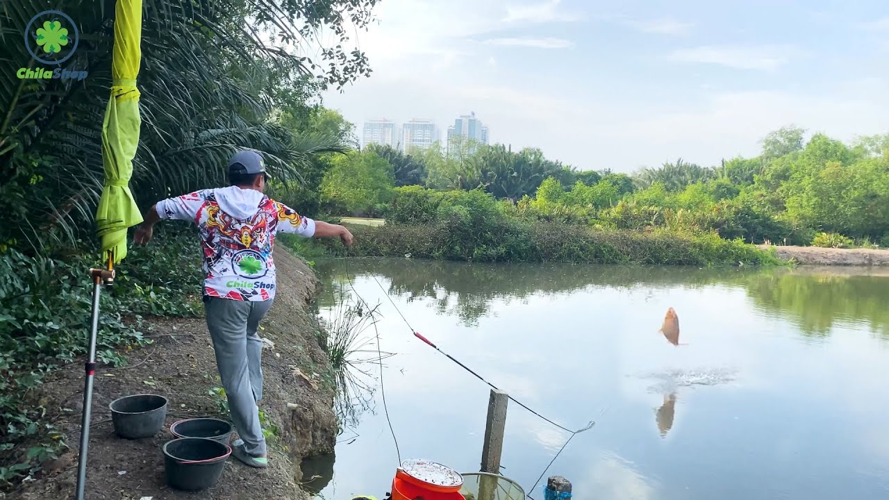 CHIA SẼ BÍ QUYẾT CHỐNG CÁ CON NHƯNG CHỦ HỒ BẮT ĐI CHỐNG MÓM ... VÀ CÁI KẾT | HỒ CÂU 2K 1 PHÚT