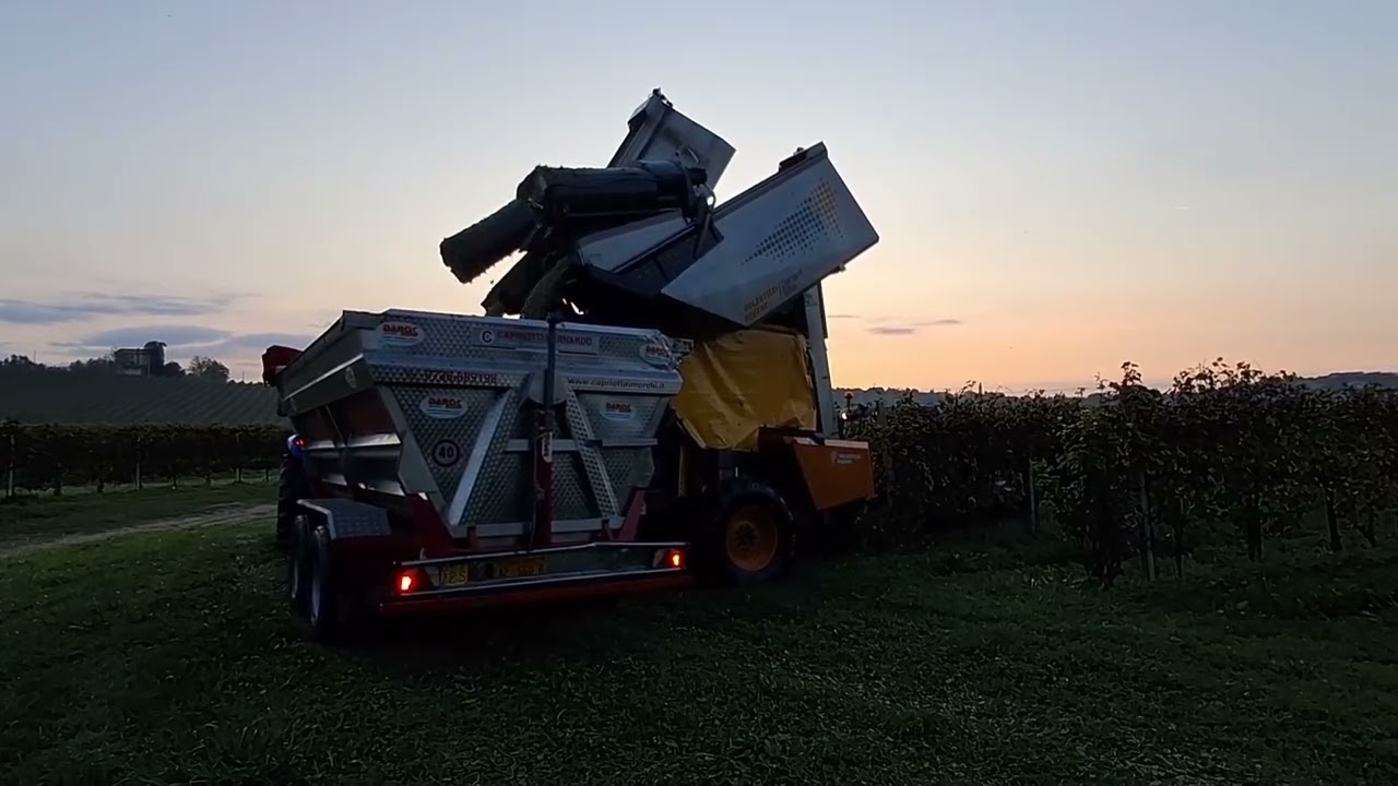 VENDEMMIA PROSECCO 2025 