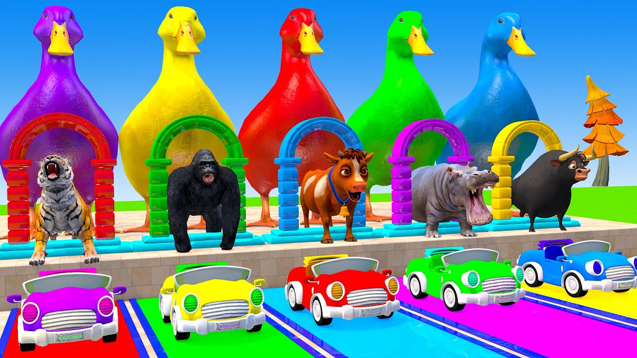 Long Slide Game With Cow Elephant Gorilla Hippopotamus Tiger 3d Animal Game Funny 3d Animals