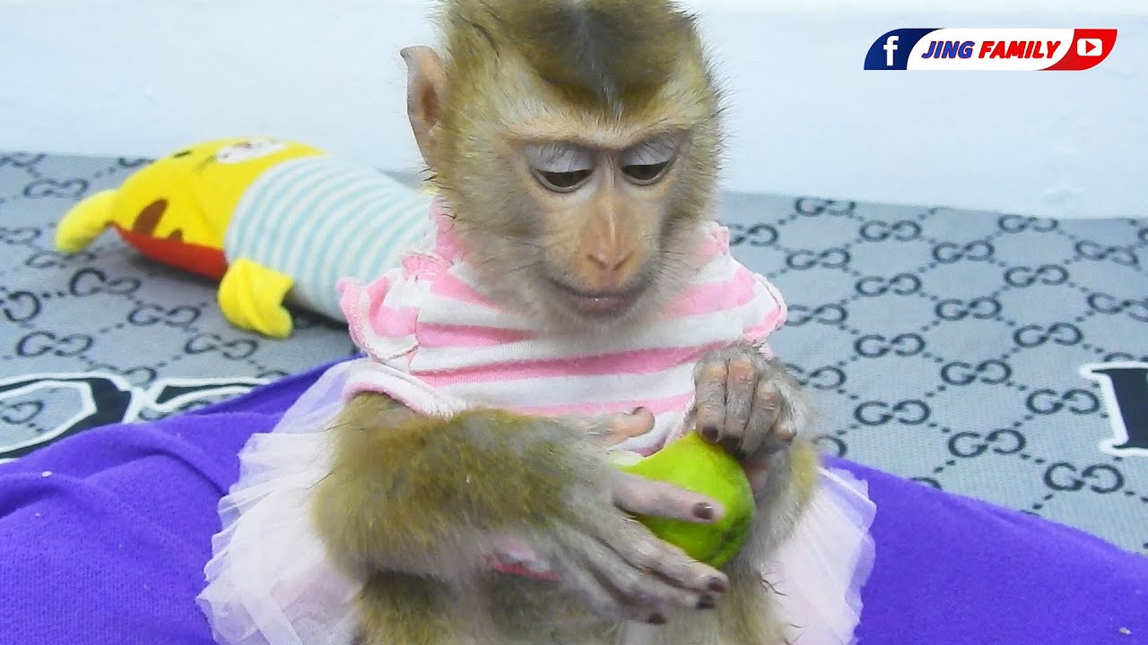 Jing Eats Snack While Wearing Her Princess Dress!