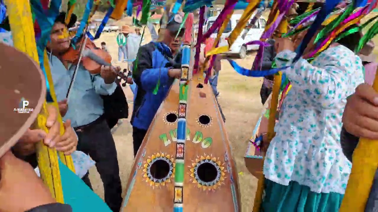 Mayura tatapampina 2024   - Fam. Cordova Cruz