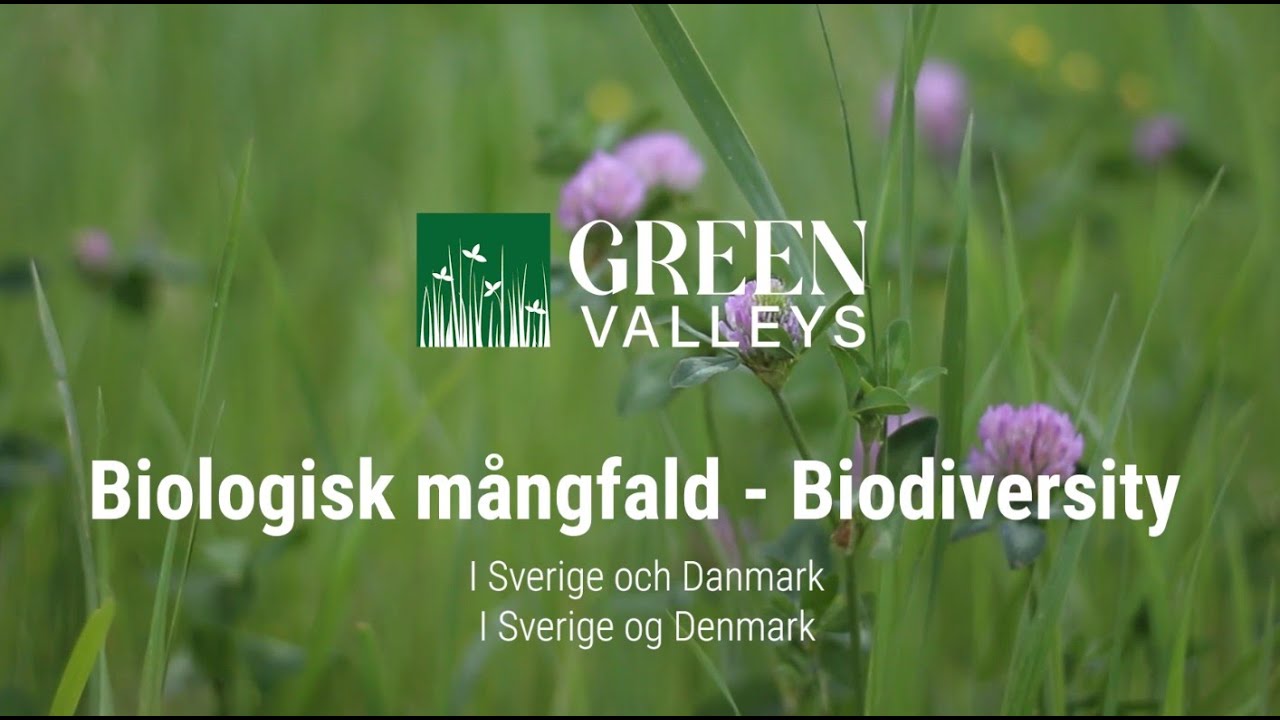 Resultatfilm Biologisk Mångfald Green Valleys 2026