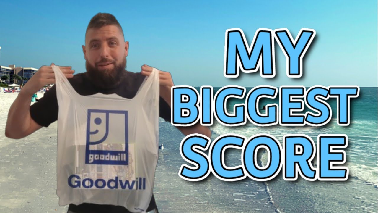 My Biggest Goodwill Video Game Haul