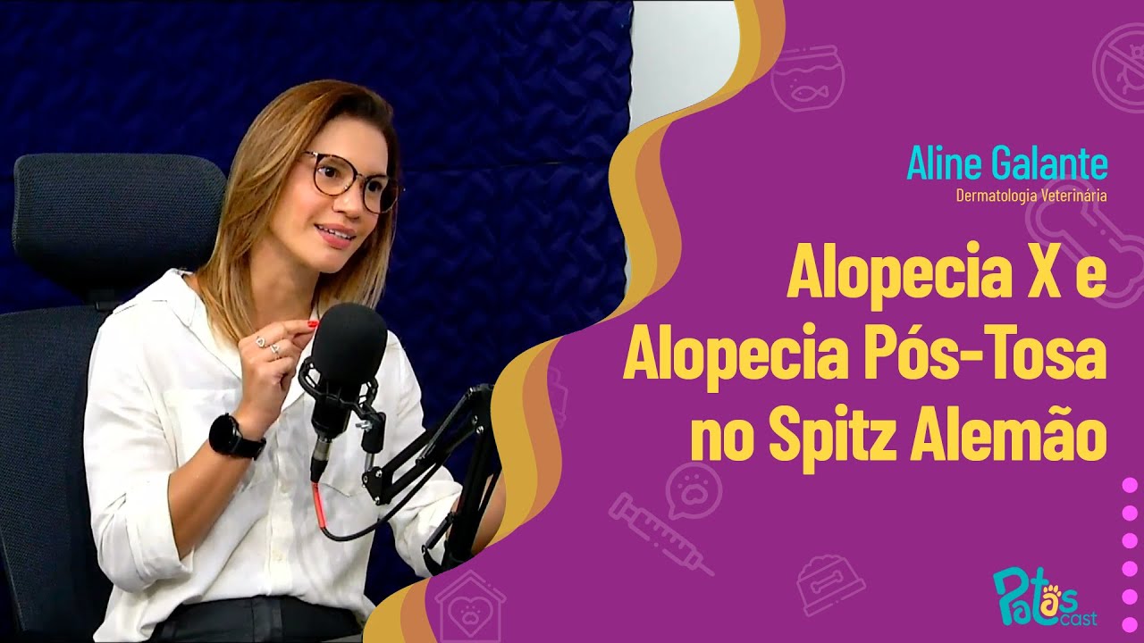 Explorando a Alopecia X e a Alopecia Pós-Tosa no Spitz Alemão com a Dra. Aline Galante