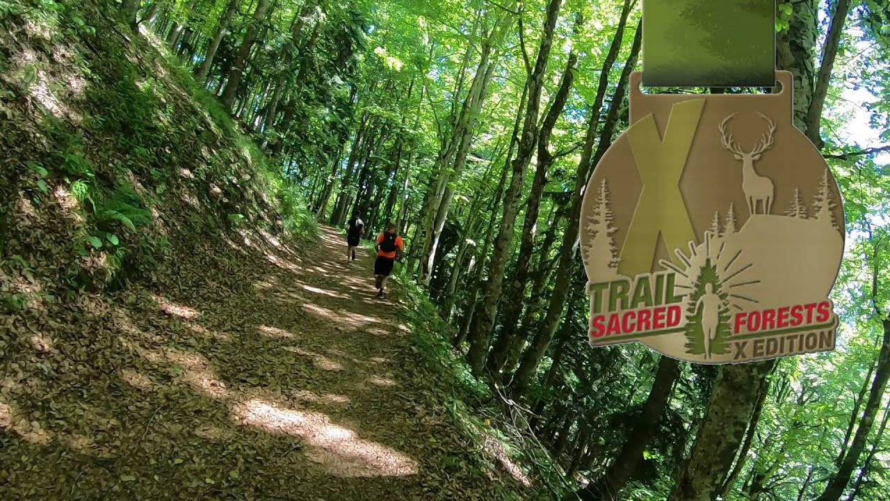 Trail Sacred Forests