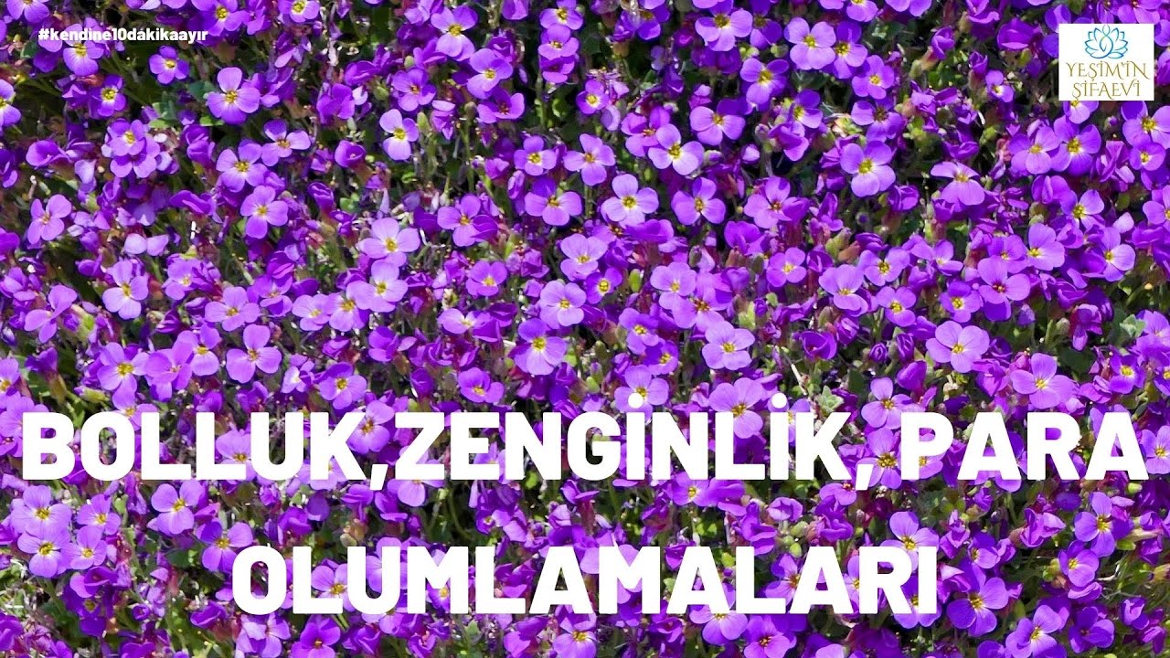 BOLLUK, ZENGİNLİK, PARA OLUMLAMALARI : Zihninizde Yeni İnanç Kalıpları Oluşturun ❗#olumlama