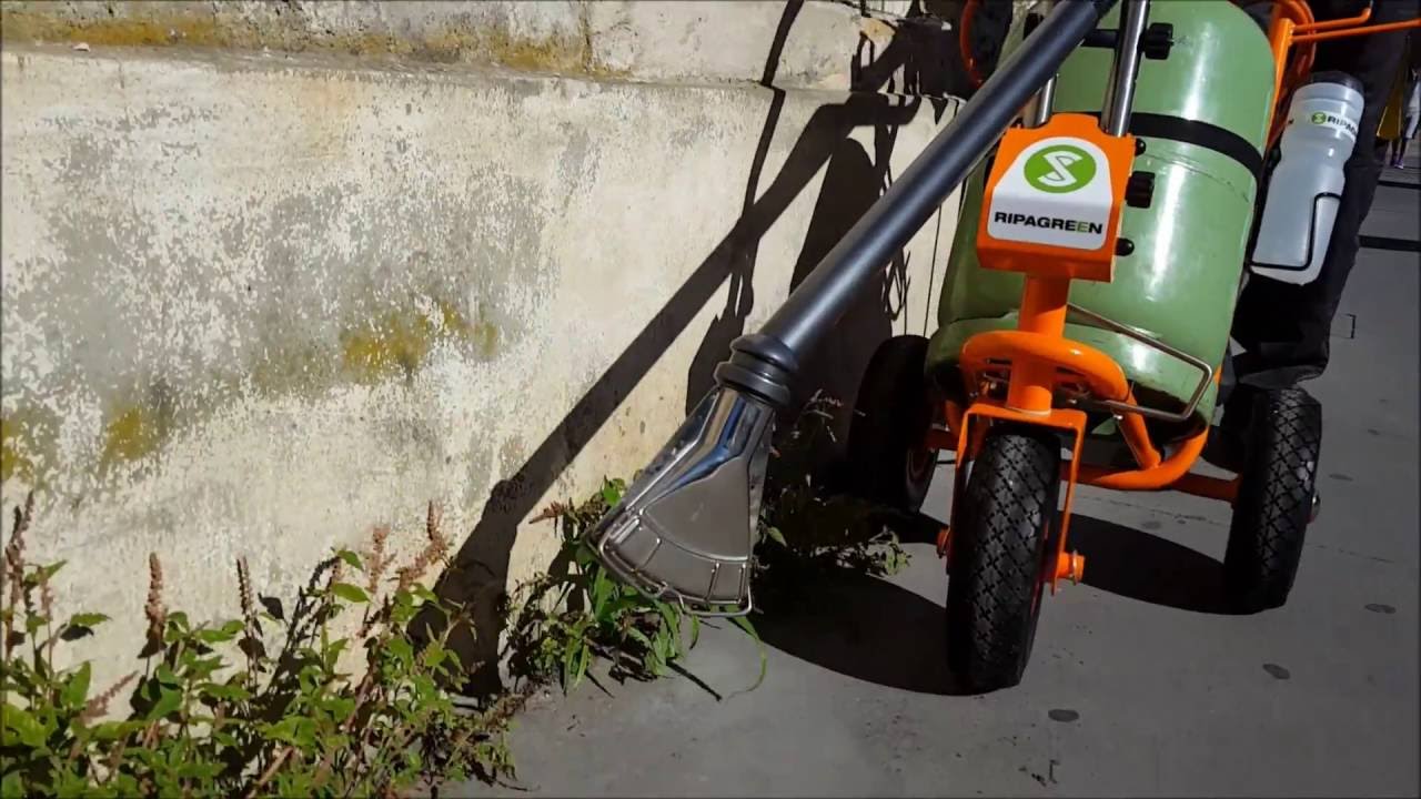 RIPAGREEN® OFFICIAL - Naürliche innovative Unkrautbekämpfung