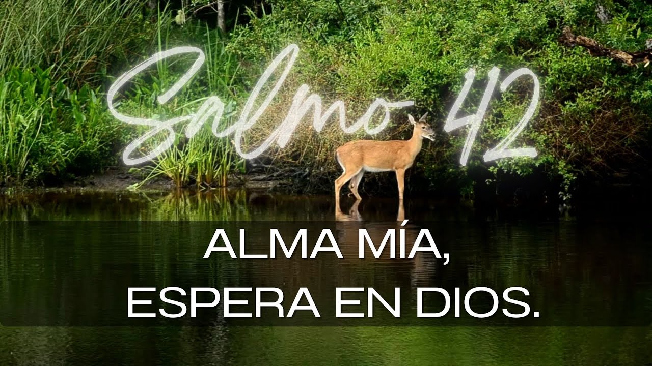 Salmo 42 /EN MÚSICA/ Alma Mía, Espera en Dios.