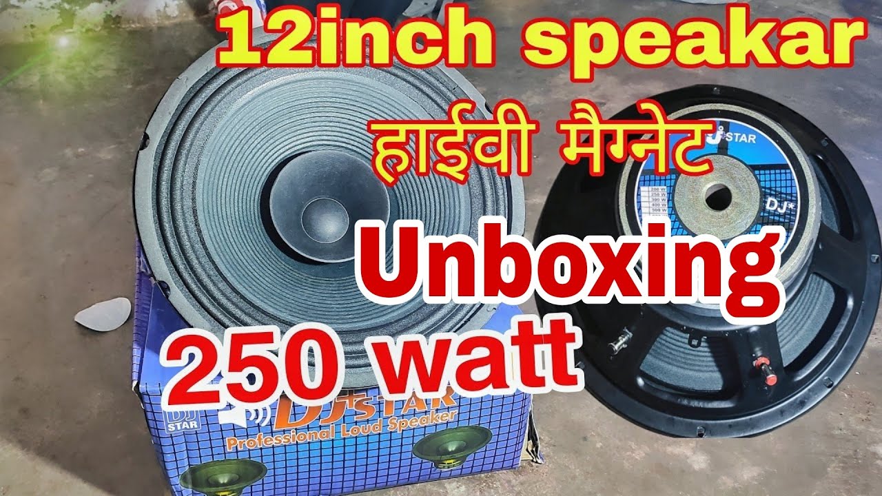 12 inch speaker 155 magnet 250watt review and unboxing