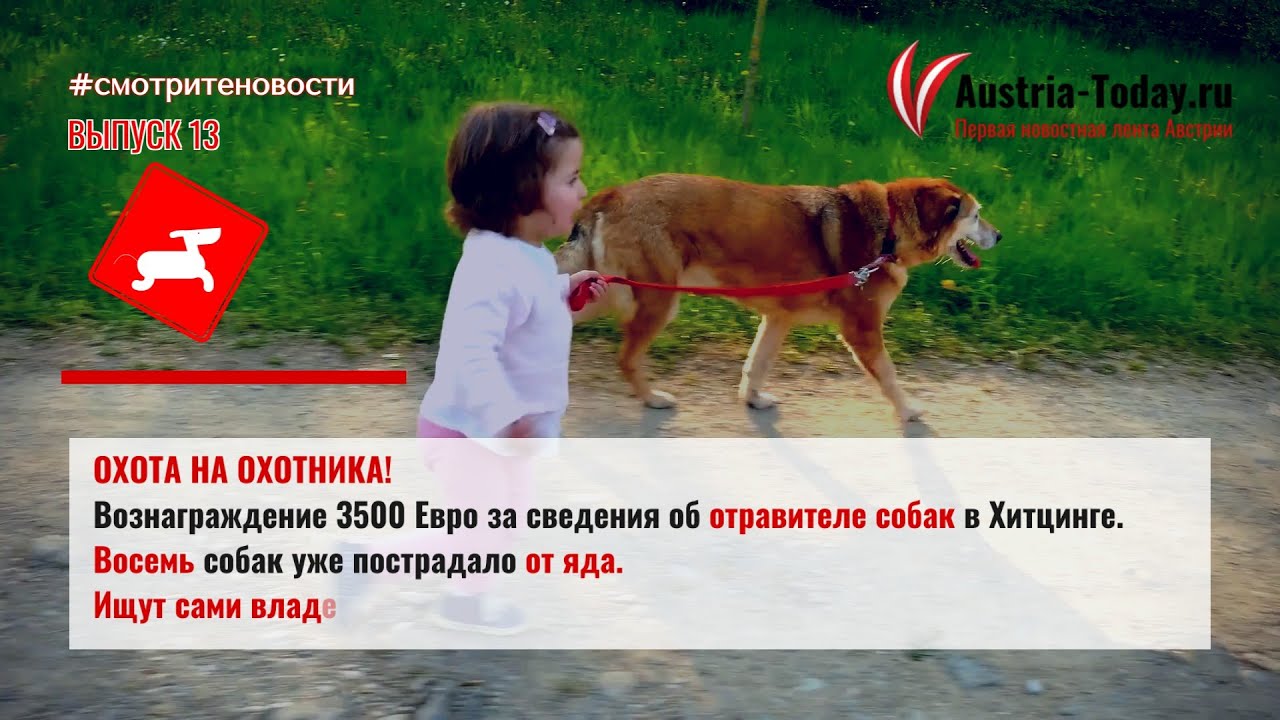 КУРЬЁЗЫ И СЛЁЗЫ.ПЕРВОАПРЕЛЬСКИЕ НОВОСТИ АВСТРИИ.   Здесь и на сайте    