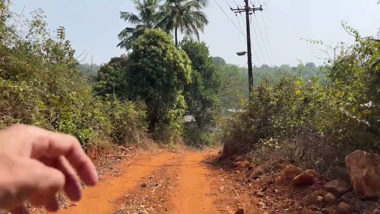 Walking Alone in the Jungle of Karwar | Peaceful Forest Experience at Hotegali